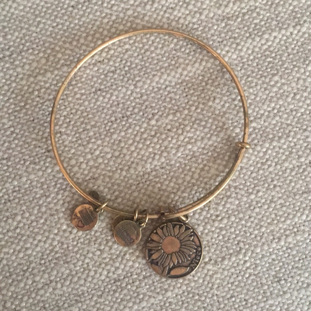 Alex and ani “niece” bangle bracelet